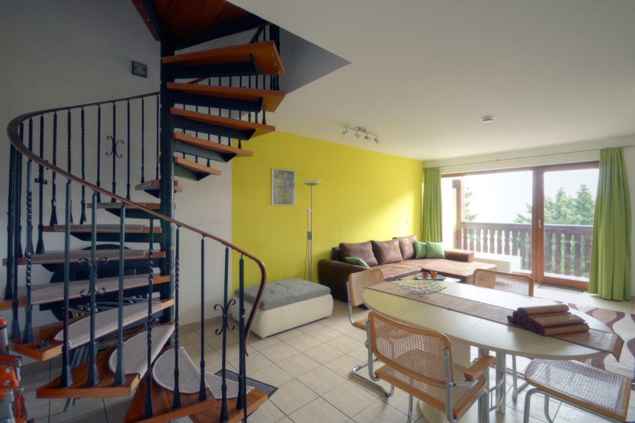 Neagu Mit 2 Apartements Apartment Winterberg